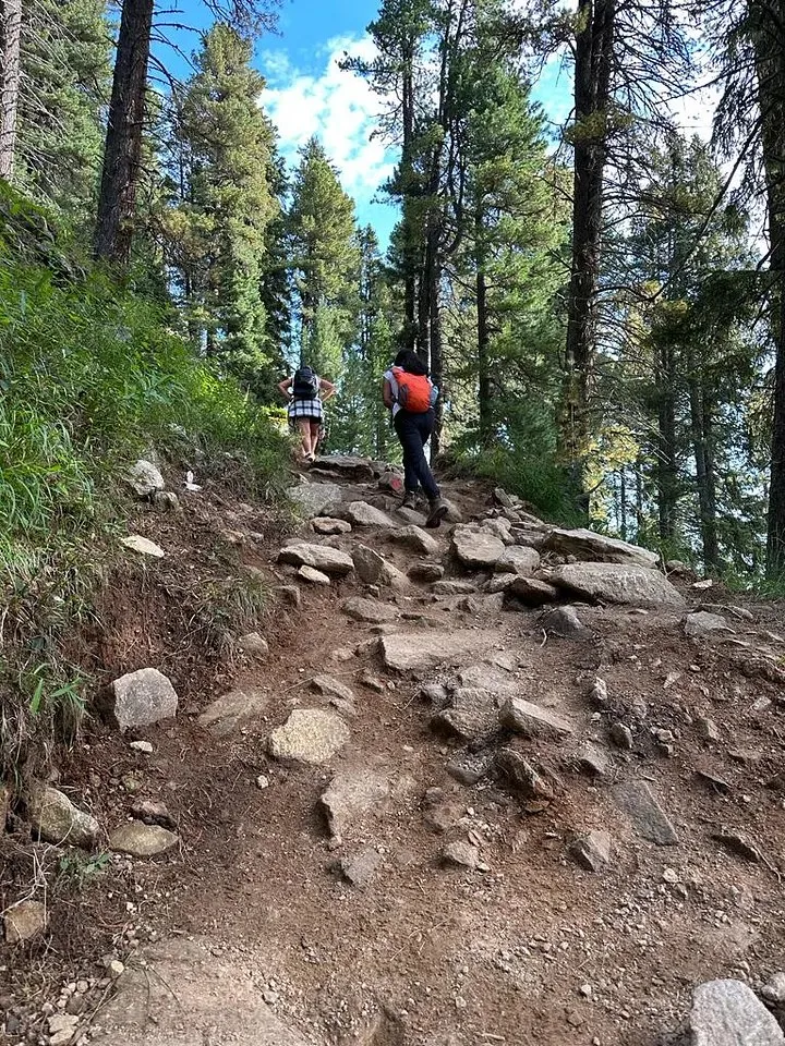 Two hikers climbing a rocky trail through pine forest, Ananya in the middle with an orange backpack