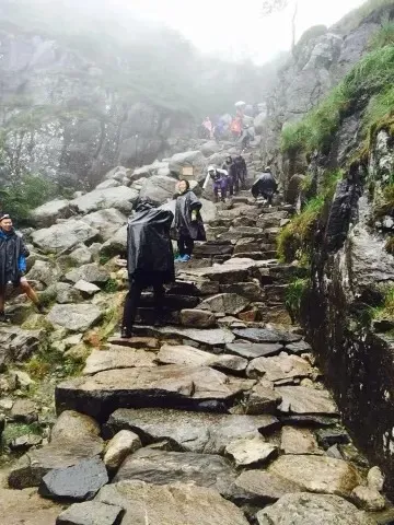 Hikers in rain ponchos climbing a path of stone steps beside a mossy rock wall