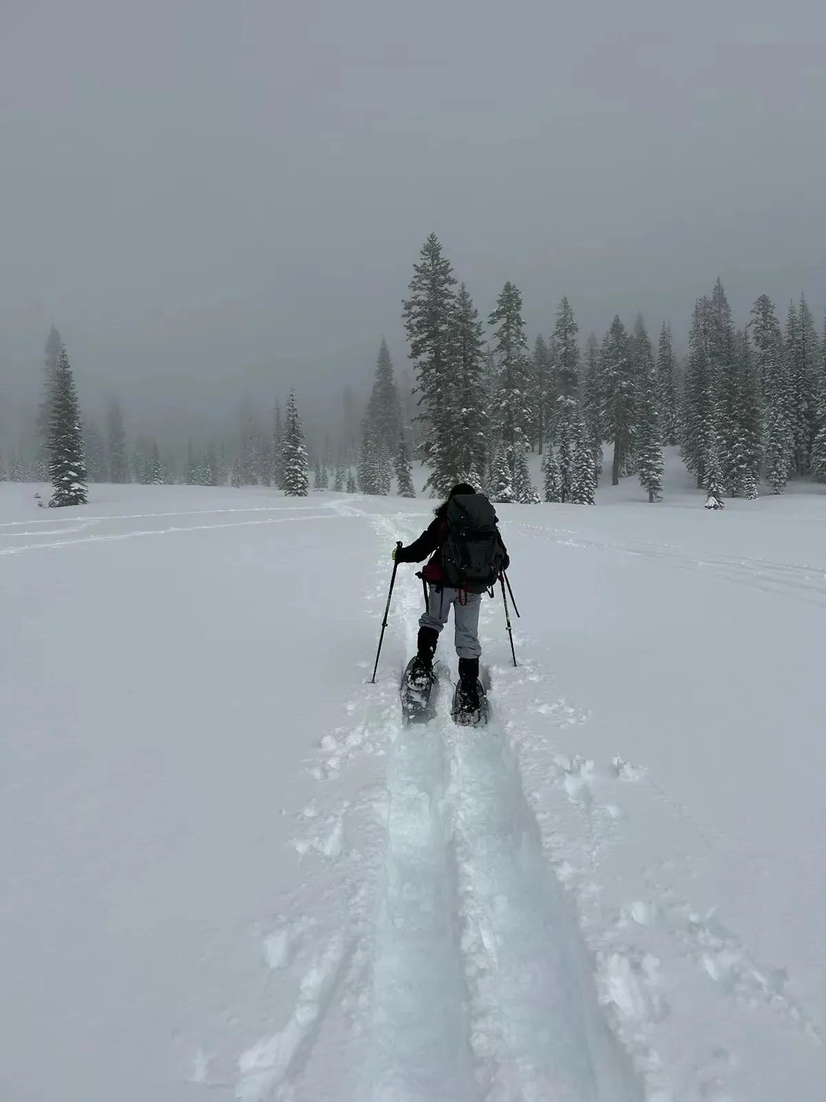 Ananya on snowshoes walking away along a snow track toward the trees